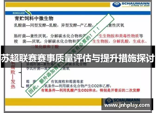 苏超联赛赛事质量评估与提升措施探讨
